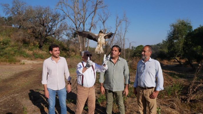 Suelta ejemplares de águila calzada y mochuelo en Lucena del Puerto (Huelva).