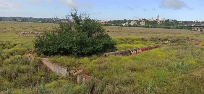 Archivo - Imagen de la dehesa de Tablada con el casco urbano de San Juan al fondo