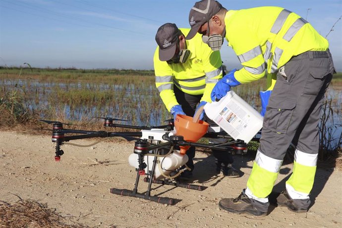 Archivo - Un dron interviene en la campaña para el tratamiento contra los mosquitos que propagan el Virus del Nilo Occidental (VNO) sobre un arrozal. A 13 de agosto de 2024, en La Puebla del Río, Sevilla (Andalucía, España). 