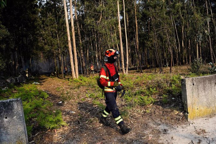 Archivo - Imagen de archivo de un bombero en Portugal.