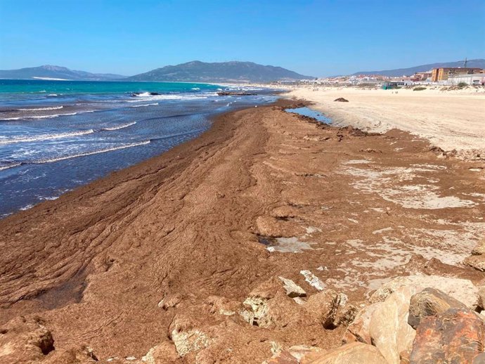 Playa Los Lances