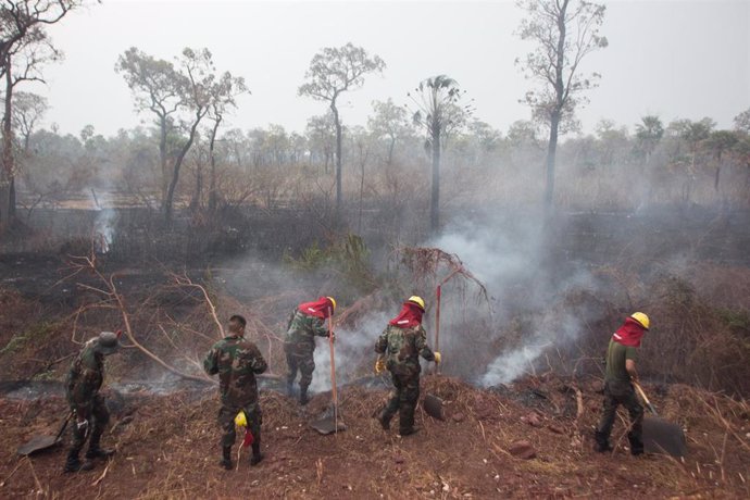 Archivo - Incendios forestales en Bolivia (imagen de archivo).