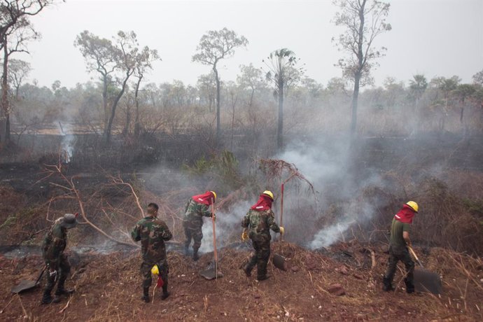 Archivo - 26 August 2019, Bolivia, San Juan: Firefighters work on a field after devastating a fire in the Amazon region. In Brazil, the most violent fires have been raging for years, but numerous fires have also broken out in neighbouring countries Peru, 