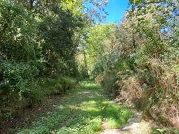 La riera de Calonge (Girona)