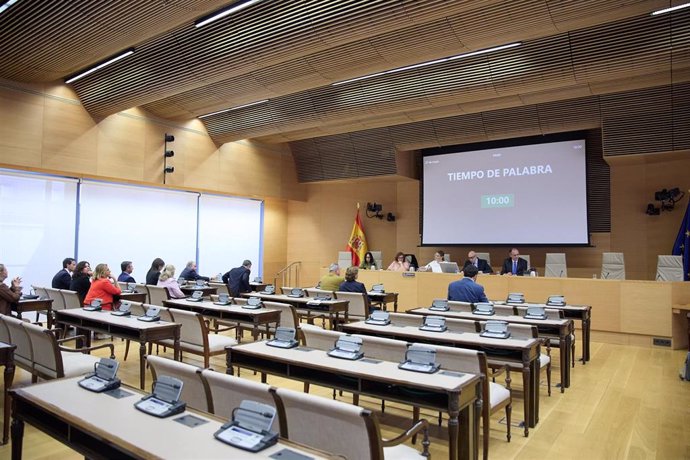 Archivo - Comisión de Investigación sobre los contratos de mascarillas, en el Congreso de los Diputados, a 27 de mayo de 2024, en Madrid (España). 