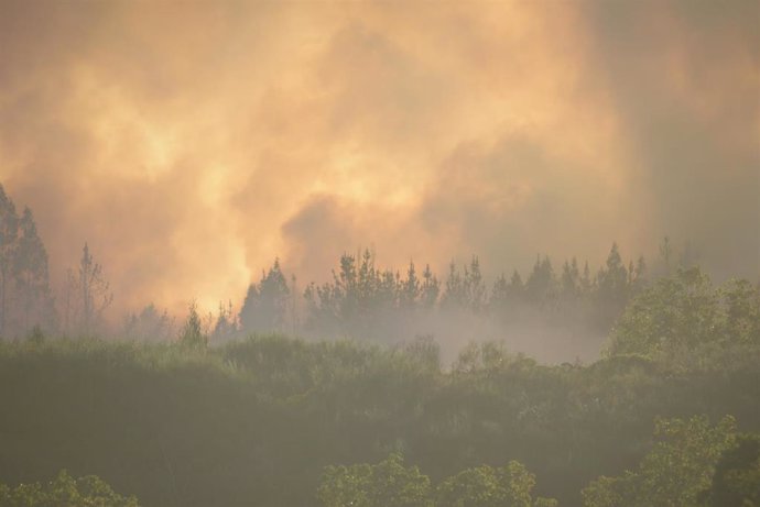 Archivo - Fume provocado por un incendio forestal na parroquia de Belesar, a 6 de agosto de 2023, en Vilalba, Lugo, Galicia (España). Varios medios de extinción, terrestres e aéreos, foron mobilizados na noite do domingo 6 de agosto a este luns 7 por un i