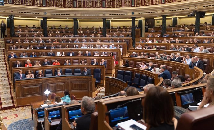 Archivo - Vista general de las votaciones durante un pleno en el Congreso de los Diputados, a 20 de junio de 2024, en Madrid (España). El Pleno del Congreso de los Diputados debate y vota hoy dos decretos leyes sobre la reforma del subsidio por desempleo 