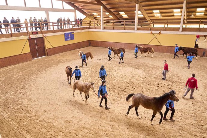 Archivo - Varios caballos del Centro Militar de Cría Caballar de Ibio