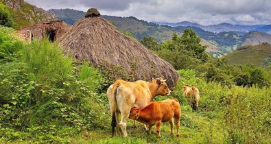 Asturias Rural