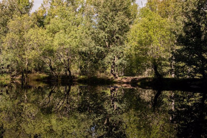 Archivo - Este domingo, día 22, empieza el otoño sobre las 14.45 horas