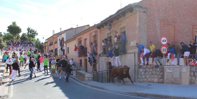 El Toro de la Vega en Tordesillas (Valladolid)