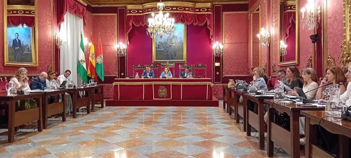 Comisión de Economía del Ayuntamiento de Granada