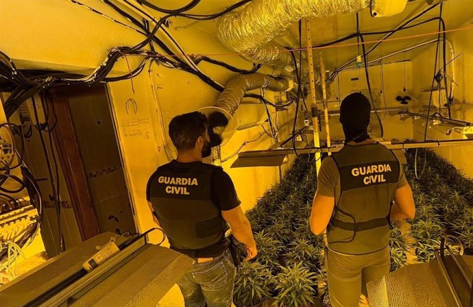 La Guardia Civil en una de las plantaciones de las tres viviendas colindantes.