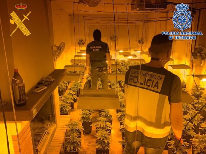 Archivo - Nota De Prensa: " Policía Nacional Y Guardia Civil Intervienen 2157 Plantas De Cannabis En Atarfe "