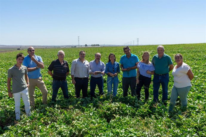 El portavoz de Agricultura del PP en el Parlamento de Andalucía, Alberto Sanromán, en una finca en Rota.