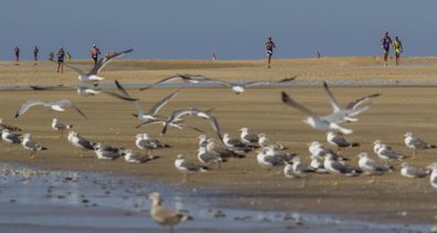 Cádiz