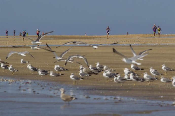 Archivo - Atletas en el Desafío Doñana.