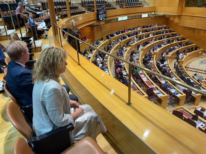 La alcaldesa de Huelva, Pilar Miranda, acompañada por el concejal de Presidencia, Alfonso Castro, en el Senado.