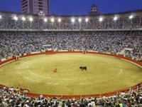 MÉS pide paralizar la modificación de la Ley de Toros que permitirá la presencia de menores de edad en corridas