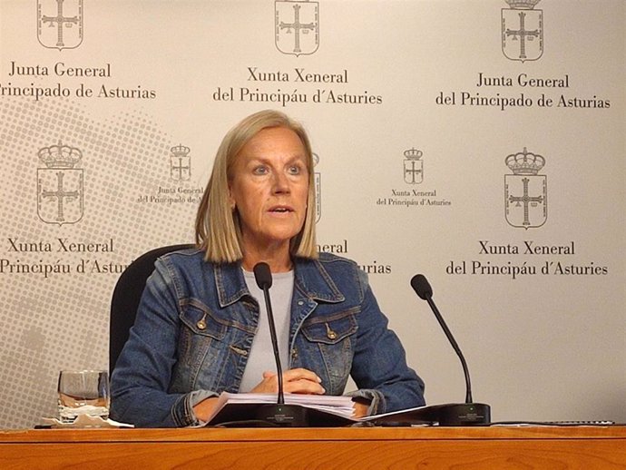 La diputada del PP en la Junta General Pilar Fernández Pardo