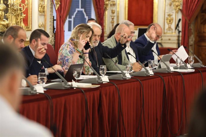 Imágenes de los diputados provinciales votando durante el pleno ordinario de este 18 de septiembre en la Diputación de Cádiz