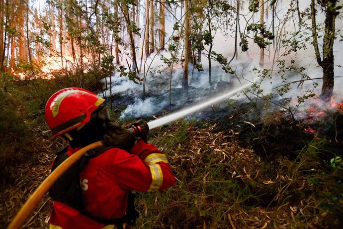 Un bombero trabaja en las labores de extinción en un incendio en la localidad de Sever Do Vouga, en el distrito portugués de Aveiro.