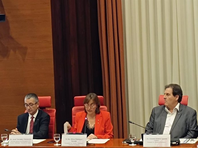 La consellera Paneque durant la comissió de Territori i Habitatge del Parlament