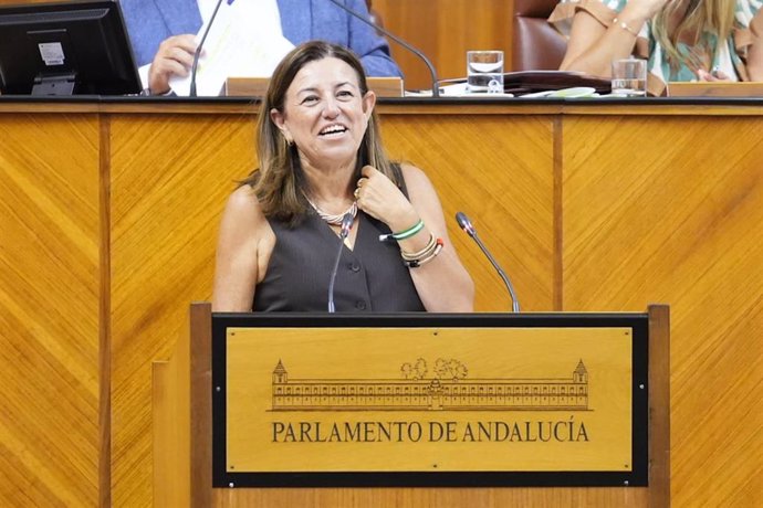 La consejera de Desarrollo Educativo y Formación Profesional, María del Carmen Castillo, este miércoles, en su primera comparecencia ante el Pleno del Parlamento