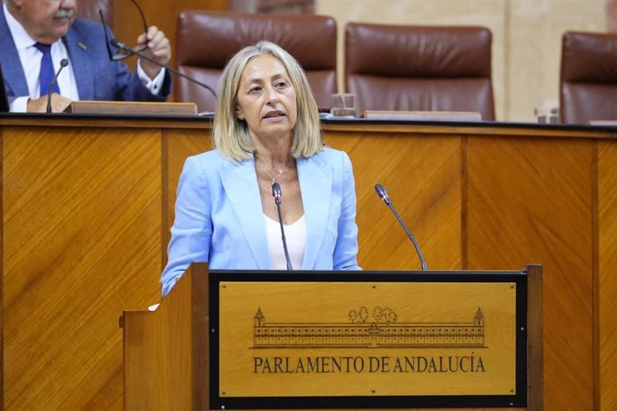 La consejera de Salud y Consumo, Rocío Hernández, comparece en el Pleno del Parlamento andaluz.