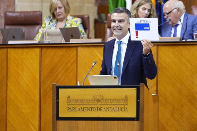 El consejero de Agricultura, Ramón Fernández-Pacheco, este miércoles en el Pleno del Parlamento.