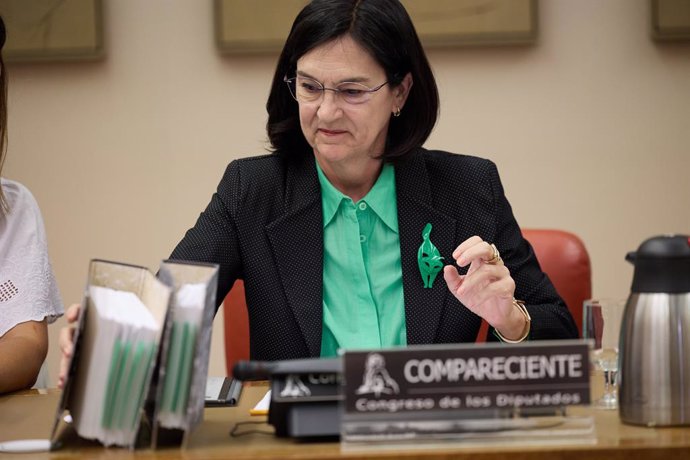 La presidenta de la Comisión Nacional de los Mercados y Competencia (CNMC), Cani Fernández, comparece en la Comisión de Economía, Comercio y Transformación Digital, en el Congreso de los Diputados, a 19 de septiembre de 2024, en Madrid (España).