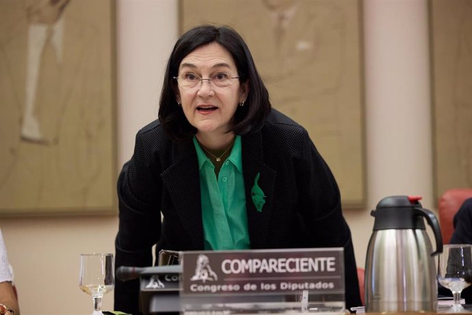 La presidenta de la Comisión Nacional de los Mercados y Competencia (CNMC), Cani Fernández, llega a comparecer en la Comisión de Economía, Comercio y Transformación Digital, en el Congreso de los Diputados, a 19 de septiembre de 2024, en Madrid (España).