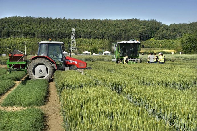 Un tractor en una explotación agraria.