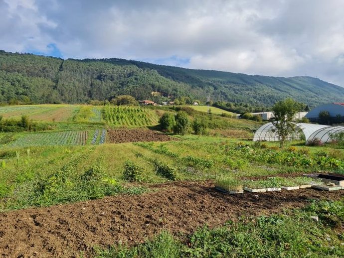 Archivo - Terrenos agrarios de Gipuzkoa