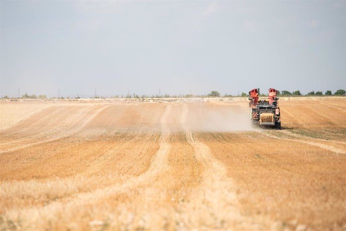 Archivo - Maquinaria trabajando un campo de pasto, a 17 de junio de 2024, en Albacete, Castilla-La Mancha (España). 