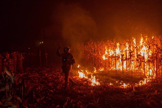 Bomberos combaten las llamas en la región de Aveiro