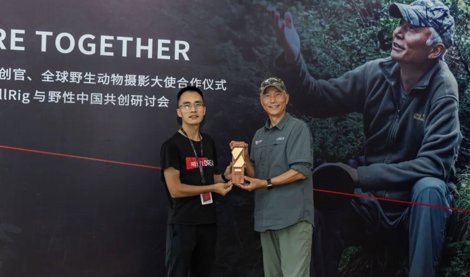 Comunicados Internacional