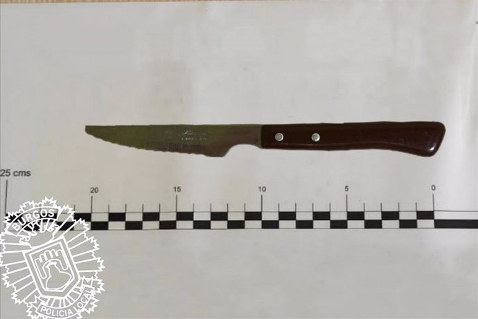 Imagen del cuchillo de cocina usado en la agresión