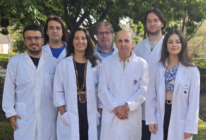 Equipo de investigadores del Instituto de Investigación Biomédica de Málaga y Plataforma en Nanomedicina (Ibima Plataforma Bionand) y la Universidad de Málaga (UMA)