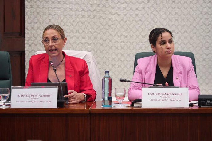 La consellera d'Igualtat i Feminisme de la Generalitat, Eva Menor, en una compareixença al Parlament