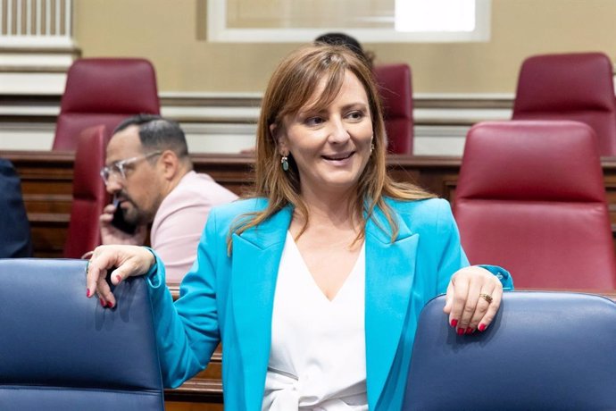 La consejera de Presidencia del Gobierno de Canarias, Lady Barreto