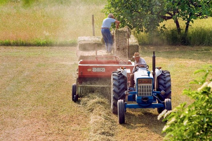 Archivo - Agricultores trabajando en el campo