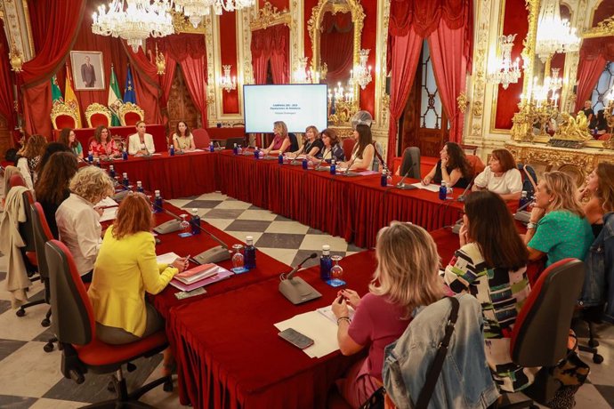 Reunión de diputadas de Igualdad en al Diputación de Cádiz.