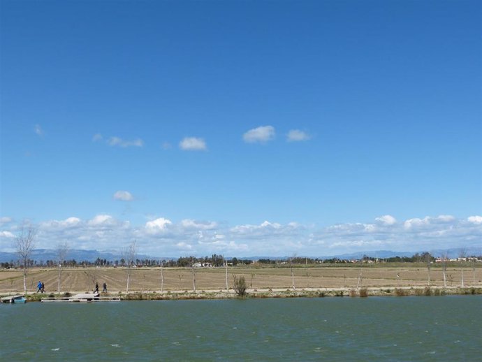 Imagen de archivo - Arrozales sin sembrar en el Delta del Ebro, Delta de l'Ebre