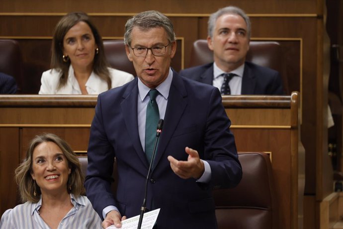 El president del PP, Alberto Núñez Feijóo, intervé al Congrés dels Diputats