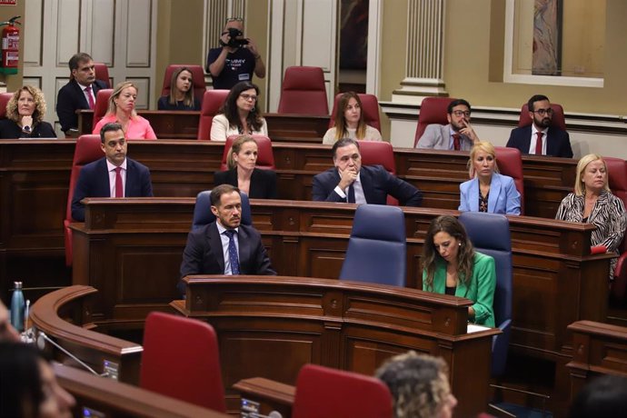 Diputados en el Parlamento de Canarias