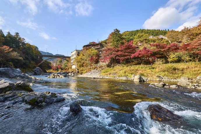 Archivo - Tokio en otoño: paisajes y festivales para celebrar el espectáculo de la naturaleza