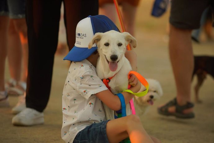 Archivo - CaniCross Las Rozas, una carrera no competitiva en la que podrán participar los perros con sus dueños