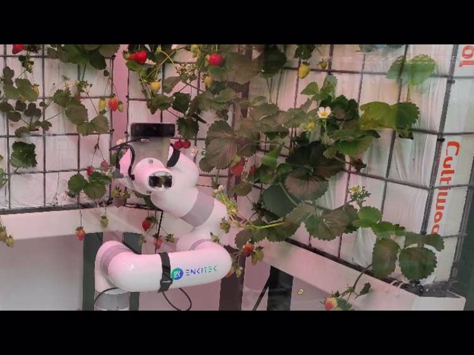 La empresa catalana Enkitek diseña un robot para la recolección de frutas y verduras