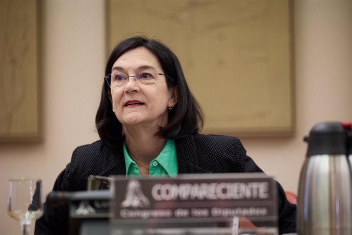 La presidenta de la Comisión Nacional de los Mercados y Competencia (CNMC), Cani Fernández, comparece en la Comisión de Economía, Comercio y Transformación Digital, en el Congreso de los Diputados, a 19 de septiembre de 2024, en Madrid (España).